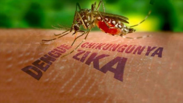 Zika. Virus Zika ăn não người đang bùng phát mạnh ở châu Mỹ được cho là có liên quan đến dị tật teo não ở trẻ nhỏ. Nó vốn không gây bệnh nặng nhưng lại là hiểm họa lớn đối với phụ nữ mang thai. Một số người nhiễm virus Zika còn phát triển hội chứng Guillain-Barré, tình trạng tự miễn dịch có thể dẫn đến liệt tạm thời.