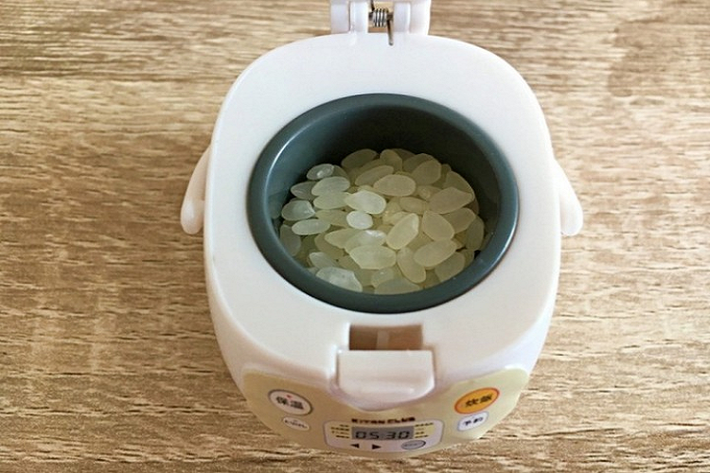 Nó có thể đóng hoặc mở ra, thậm chí tháo rời dễ dàng. Bên ngoài nồi cơm điện cho thú cưng cũng có dán các nút chức năng trông giống như thật.