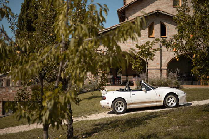 Bộ sưu tập Mazda MX-5 của Miataland vô cùng đa dạng với nhiều phiên bản đặc biệt tới từ châu Âu, Bắc Mỹ hay Nhật Bản.