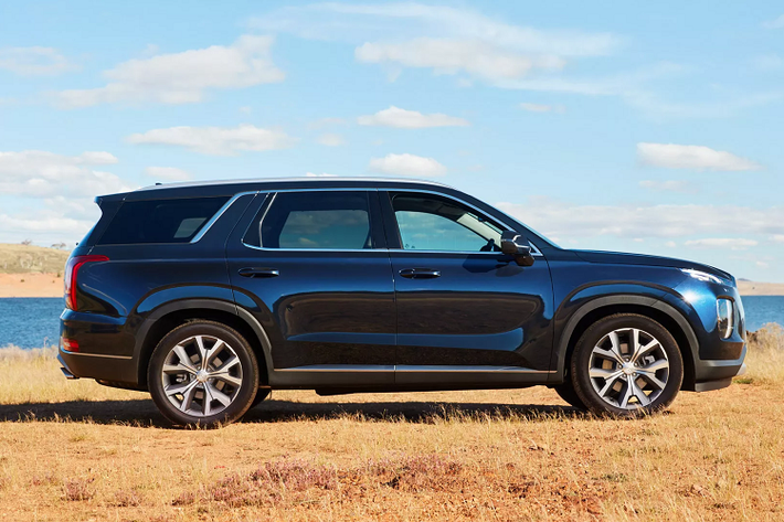 Tại thị trường Việt Nam, Hyundai Palisade đã được TC Motor nhập về trong năm nay với mục đích nghiên cứu thị trường nhưng chưa có thông báo về việc bán ra. Giá bán dự kiến tại Việt Nam cho mẫu SUV này là 1,87 tỷ đồng.