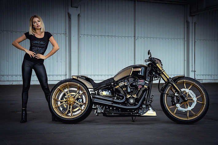 Trong giới độ xe Harley-Davidson, xưởng độ Thunderbike đến từ Đức có lẽ là cái tên đáng chú ý nhất hiện nay. Các sản phẩm xe độ Harley-Davidson của Thunderbike từng thực hiện luôn mang trên minh sự độc đáo và giá trị. Ngoài ra xưởng độ này không chỉ dừng lại ở việc giới thiệu một, hai chiếc mà liên tục ra mắt các sản phẩm mới.
