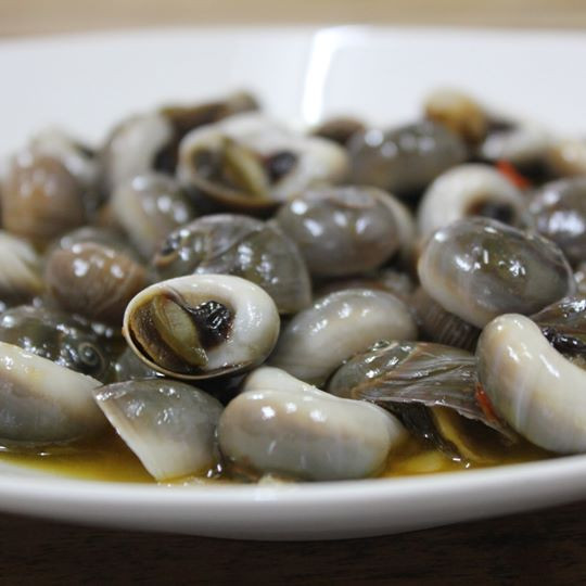 Sở dĩ ốc mỡ có tên gọi như vậy là do khi nó bơi dưới nước trông giống như một miếng thịt mỡ nhỏ. (Ảnh Dktcdn)