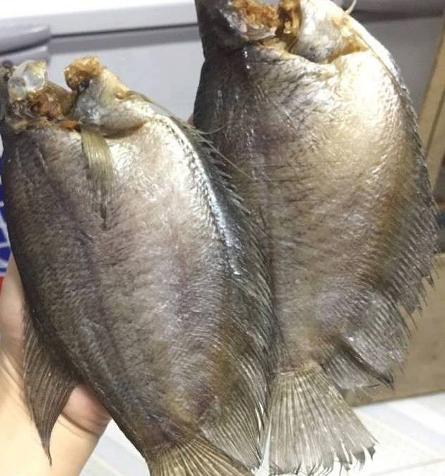 Trong dịp lễ Tết, khô cá bổi còn được dùng làm đồ nhấm nháp trong những tiệc trà. Ảnh Postimg.