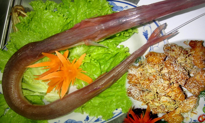 Những con cá chìa vôi trưởng thành thậm chí có thể có chiều dài lên tới 1m. (Ảnh Huongvibiendanang)