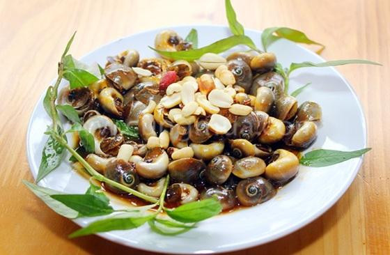 Ốc mỡ là loài ốc có nhiều ở vùng biển nước ta, phân bố rộng rãi khắp cả nước từ Cát Bà, Đồ Sơn đến Cà Mau. (Ảnh Daotaobeptruong)