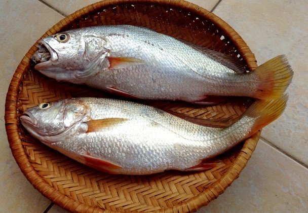 Cá đù còn được biết đến với tên gọi phổ thông khác là cá lù đù. Đây là một loài cá quen thuộc của vùng biển miền Trung. (Ảnh Blogspot)