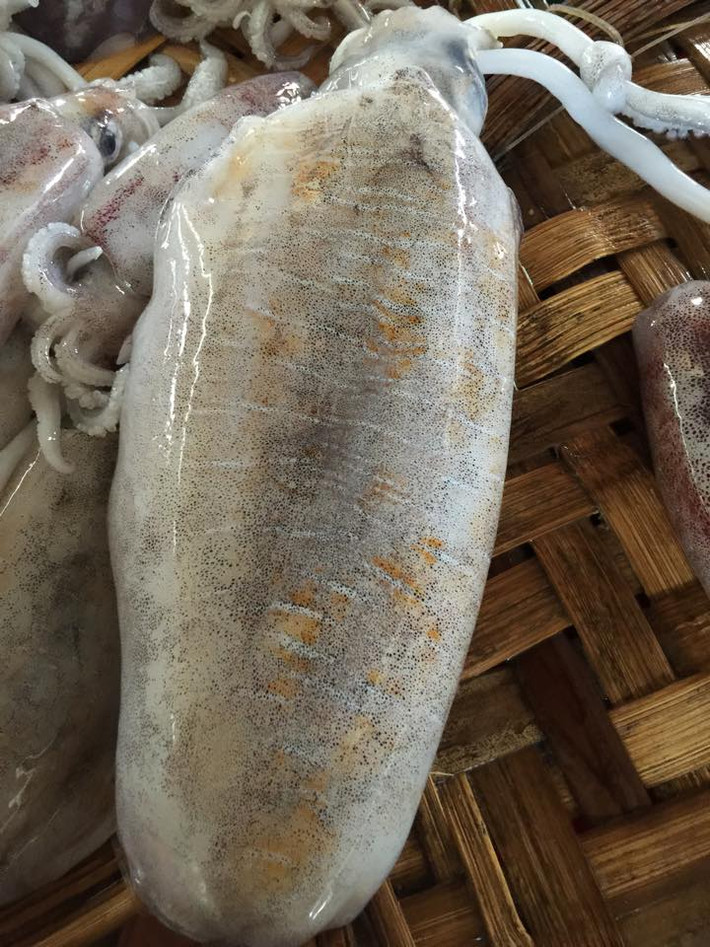 Mực lá được xem là loại mực ngon nhất trong họ nhà mực, được xếp trên cả mực nang, mực ống, mực trứng hay bạch tuộc. (Ảnh Bizwebmedia)