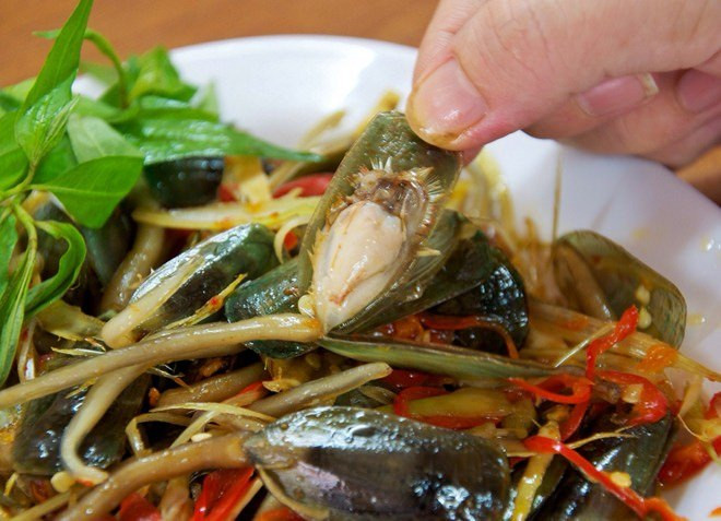 Ở Việt Nam, ốc tài xỉu được đánh bắt hoàn toàn tự nhiên ở vùng biển Nha Trang, đảo Phú Quốc hay Hà Tiên. (Ảnh Imgur)