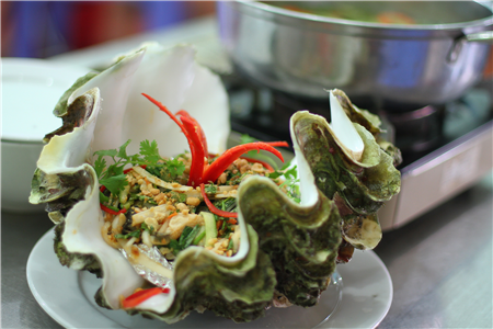 Ở Việt Nam, ốc tai tượng có ở vùng biển của Nha Trang, Phú Yên, Ninh Thuận, Cù Lao Chàm, Côn Đảo. (Ảnh Haisansachphanthiet)