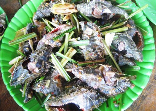 Loại ốc lông xấu xí này là một trong những loài ốc đặc sản của biển miền Trung, bên cạnh ốc vú nàng, ốc bàn tay, ốc mỡ, ốc giác,...(Ảnh Hotel84)