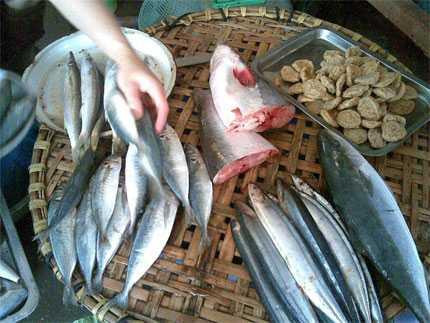 Tuy nhiên, khi bạn ấn tay vào thân cá thì thấy mềm, độ đàn hồi không cao, mình cá lõm xuống, ngửi kỹ cá có mùi khai chứ không phải mùi tanh đặc trưng. Ảnh: vtcnew.