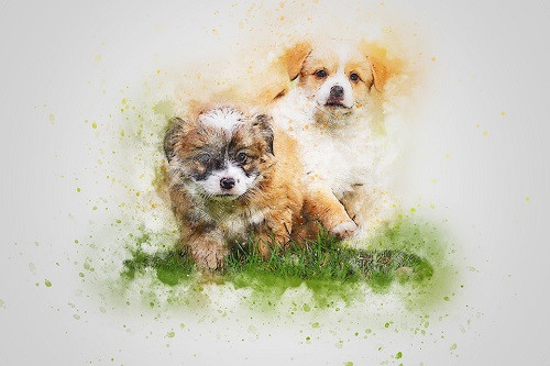 Tuổi Tuất tuần này có ngọt có bùi, tổng thể tốt lên. Con giáp làm việc chăm chỉ, hoàn thành mọi nhiệm vụ. Điểm lưu ý duy nhất là ngay cả khi khó chịu trước những góp ý của đồng nghiệp hoặc cấp trên, con giáp cũng không nên tỏ thái độ gay gắt. Các dự án đầu tư mang lại nhiều khoản thu bất ngờ cho con giáp, tuy nhiên cần chú ý có kẻ nẫng tay trên.