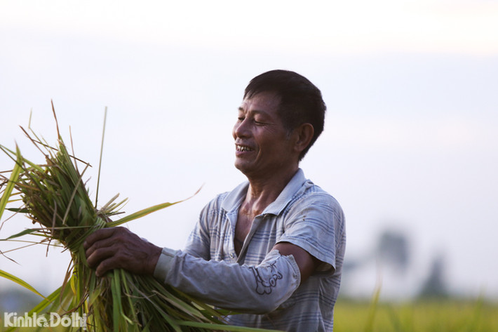 Niềm vui của nông dân sau một vụ mùa.