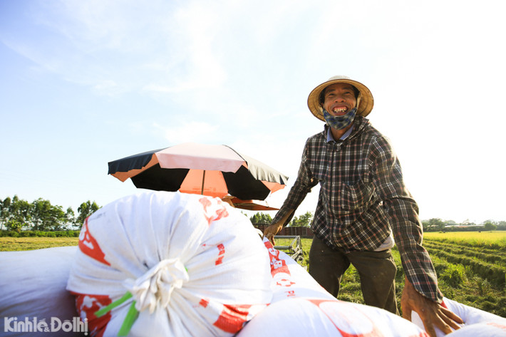 Nụ cười của nắng.