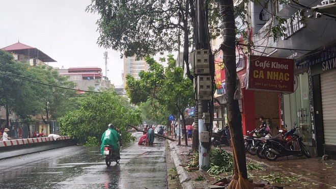 Cây đổ trên đường Lạc Long Quân.