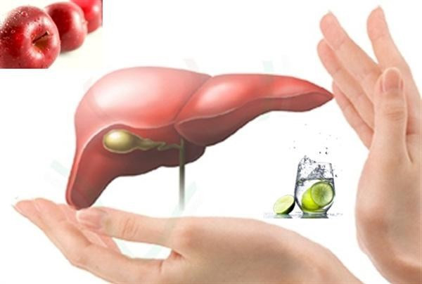 Vốn được ví như là quả tim thứ hai trong cơ thể người, lá gan đảm nhiệm rất nhiều chức năng quan trọng và nhiệm vụ thải độc là quan trọng hơn hết. Mặt khác, nếu để lá gan hoạt động quá tải sẽ gây ra những thương tổn cho gan của bạn. Vì vậy, hãy áp dụng những phương pháp đã được kiểm nghiệm và chứng minh bởi khoa học như: