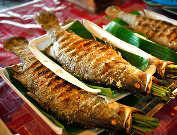 Nếu nướng trong lò nhiệt độ 80-100°C, chất creatin (hoặc creatinin) trong thịt cá sẽ trở thành amin thơm dị vòng (HCA). Chất này khi vào tới gan thì biến thành chất độc, sau đó đi xuống ruột, tạo ra nguy cơ ung thư đại tràng.