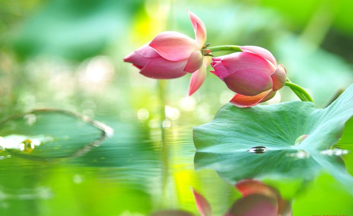 Tuổi Thân: Sự nghiệp: ngày làm việc tràn đầy năng lượng, mọi khúc mắc đều được giải quyết. Tài vận: tình hình tài chính sáng sủa, hôm nay thích hợp cho việc cầu tài, đầu tư. Tình cảm: chuyện tình cảm ổn định. Ảnh: baidu.com.
