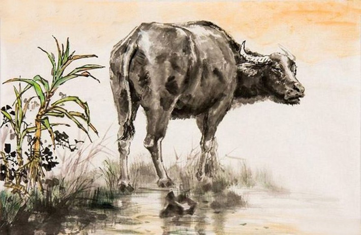 Tuổi Sửu: Tháng này do bước vào cục diện “Dậu Kim Hợp Thân” hơn nữa lại có cát tinh phù hộ nên người tuổi Sửu được quý nhân giúp đỡ rất nhiều trong sự nghiệp cũng như tài vận.