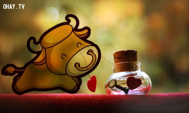 Tuổi Sửu: Thời gian đầu tháng 8, tuy vận thế đã có sự chuyển biến nhỏ nhưng may mắn vẫn chưa đến với con giáp này.
