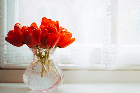 Người sinh vào tháng 8 âm lịch: người sinh vào tháng 8 âm lịch cởi mở, thông minh, mưu trí. Họ luôn sẵn lòng giúp đỡ người khác, cho nên kết giao được với không ít bạn bè tốt cộng với bẩm sinh đã có vận quý nhân hưng phát nên sự nghiệp vô cùng thuận lợi.