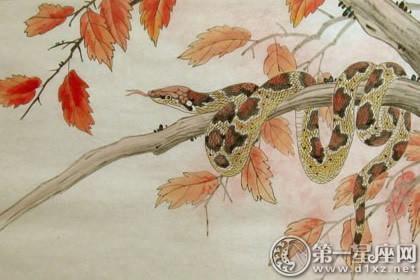 Tuổi Tỵ: Trong hai năm tới, do có cát tinh soi chiếu nên tài vận của người tuổi Tỵ vô cùng khởi sắc. Con giáp này sẽ có cơ hội kiếm được những khoản tiền lớn, chỉ cần biết nắm bắt đúng thời cơ, người tuổi Tỵ sẽ nhanh chóng trở nên giàu có.
