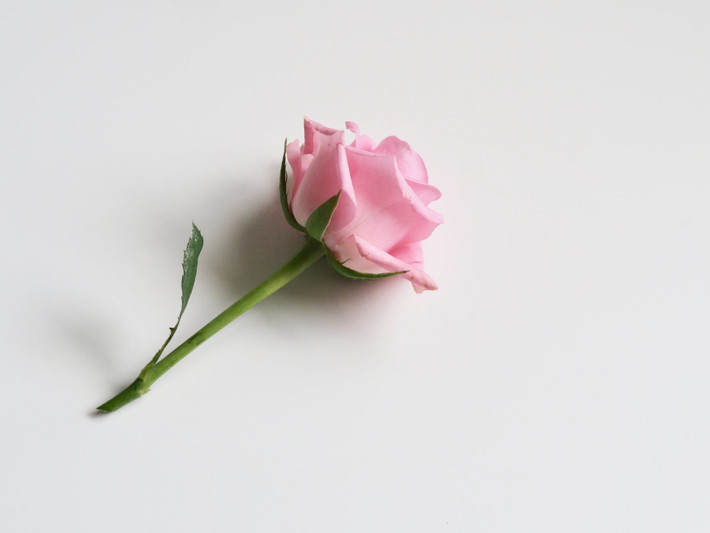 Tuổi Mão: Người tuổi Mão thời gian trước đây do thời vận không suôn sẻ, không những khó khăn trong việc kiếm tiền mà còn nợ nần rất nhiều. Ảnh: pexels.com.