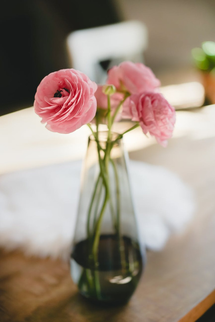 Nhưng người tuổi Tuất vốn là người khiêm tốn nên dù có rất nhiều tiền nhưng người ngoài lại không biết được con giáp này là người giàu có và không ai có thể lừa gạt tiền bạc của họ. Ảnh: pexels.com.