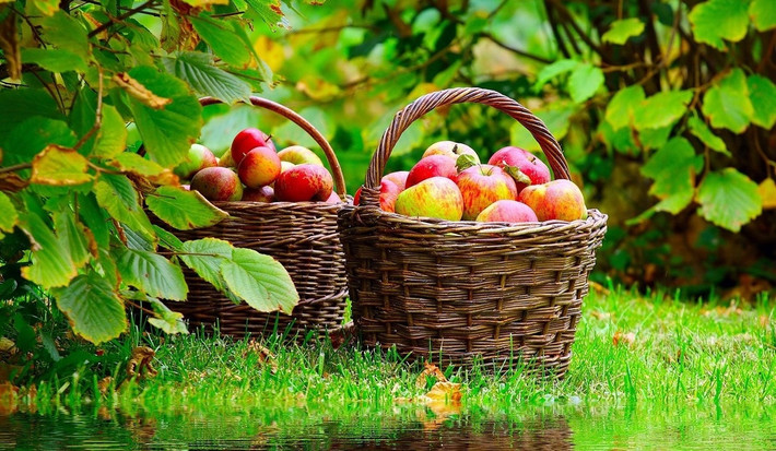 Tuổi Ngọ: Công việc: công việc thuận lợi. Tài vận: có thể bỏ ra số tiền nhỏ để thử đầu tư. Tình cảm: người đã kết hôn nên cẩn trọng trong các mối quan hệ khác giới. Ảnh: image.baidu.com.