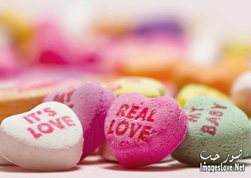 Tuổi Tuất: Người tuổi Tuất khi yêu sẽ không dành trọn trái tim cho nửa kia, có thể họ sẽ thốt ra những lời như “chỉ mãi yêu một người, trong lòng chỉ một người” nhưng trong thâm tâm lại không hề nghĩ như vậy. Ảnh: imageslove.net. (Bài viết chỉ mang tính tham khảo, cung cấp nội dung trắc nghiệm vui cho bạn đọc).