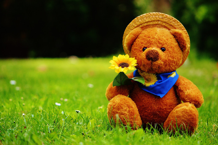 Tuổi Sửu: Người tuổi Sửu là người thật thà, vận thế thời gian trước đây của con giáp này không suôn sẻ. Ảnh: pinterest.com.