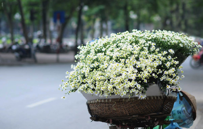 Tuổi Tuất: Công việc: không nên tham gia vào những việc không phải trách nhiệm của mình. Tài vận: đừng vì một phút kích động mà tiêu xài hoang phí. Tình cảm: nên có những món quà bất ngờ dành tặng nửa kia để hâm nóng tình cảm. Ảnh: vietravel.anandi.vn.