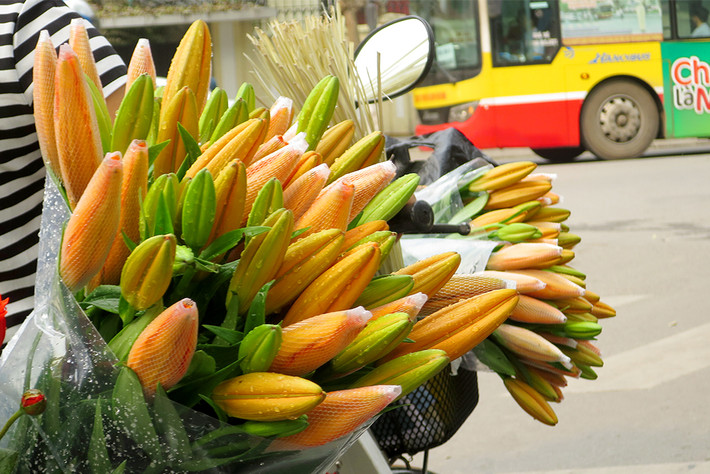 Tuổi Mùi: Công việc: không suôn sẻ, gặp nhiều khó khăn, trở ngại trong công việc. Tài vận: tình hình tài chính ổn định. Tình cảm: ngày thích hợp cho việc bộc lộ tình cảm. Ảnh: dantri.com.vn.