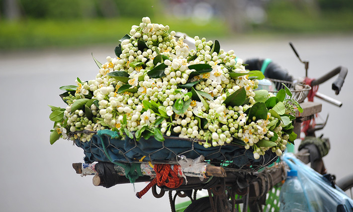 Tuổi Thân: Công việc: nên chú tâm vào công việc của mình. Tài vận: không nên quá tin tưởng vào người khác trong vấn đề tiền bạc. Tình cảm: nên chủ động hơn nữa trong tình cảm. Ảnh: thoibao.today.