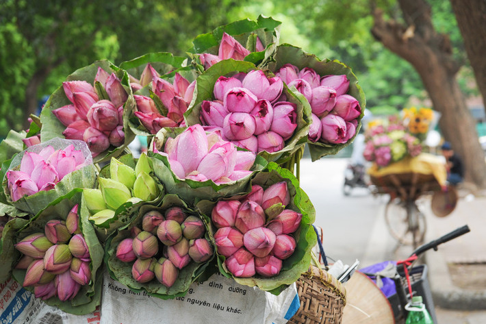 Tuổi Hợi: Công việc: công việc rất suôn sẻ, hoàn thành tốt các nhiệm vụ được giao. Tài vận: hôm nay không nên bỏ tiền ra đầu tư. Tình cảm: thận trong trong các mối quan hệ khác giới. Ảnh: thanhnien.vn. (Bài viết chỉ mang tính tham khảo, cung cấp nội dung trắc nghiệm vui bạn đọc).