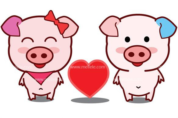 Tuổi Hợi: Người tuổi Hợi do được Tài Tinh phù trợ nên sinh ra đã mang số mệnh “ngâm thìa vàng”.