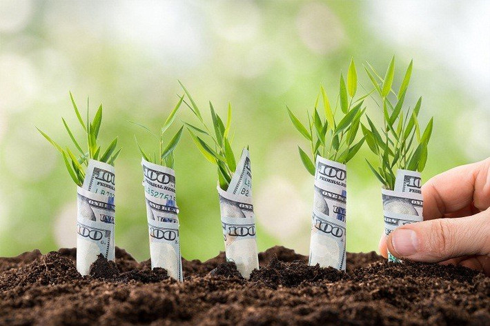 Quý nhân không những dẫn đường chỉ lối mà còn mang lợi những cơ hội kinh doanh, đầu tư kiếm lời cho người tuổi Mùi. Chính vì vậy, người tuổi Mùi không nên bỏ lỡ bất cứ cơ hội vàng nào trong thời gian này. Ảnh:e-learningvn.com. (Bài viết chỉ mang tính tham khảo, cung cấp nội dung trắc nghiệm vui cho bạn đọc).