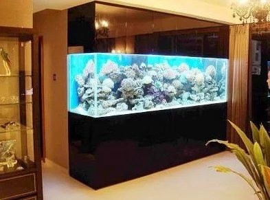 Để tăng thêm sinh khí cho ngôi nhà, rất nhiều người thực hiện việc trồng hoa nuôi cá trong nhà. Mọi người đều biết nuôi cá có thể chiêu tài, dù nuôi cá trong nhà rất tốt, vừa có thể ngắm cá để thư giãn, vừa có thể làm sạch không khí, nhưng cần biết rằng việc đặt vị trí bể cá hết sức quan trọng, nếu không sẽ đem lại những hậu quả xấu mà bạn không ngờ tới. Ảnh: Meiguoshenpo.com.