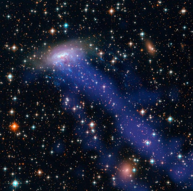 Kính viễn vọng Hubble, NASA tình cờ chứng kiến thiên hà xoắn ốc ESO 137-001 tung màn tước nén áp suất trước cụm sao Norma. Nguồn ảnh: Space.