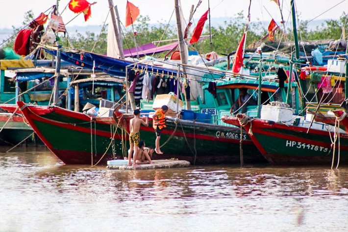 Các em nhỏ trên cảng cá Ngọc Hải bơi lội rất giỏi, rất các thuyền đều trang bị phao cứu sinh đề phòng đuối nước.