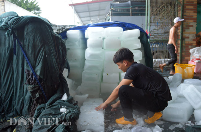 Đá cây sau khi đến trạm đóng gói vải thiều ngay lập tức được chặt thành từng khúc, sau đó tiếp tục được chặt thành từng miếng nhỏ hơn để phục vụ cho việc ướp vải.