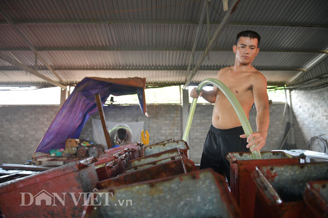 Là một trong những cơ sở sản xuất đá cây lớn nhất tỉnh Bắc Giang, hiện trung bình mỗi ngày đơn vị của ông Giang Văn Triệu (Lục Ngạn, Bắc Giang) làm ra trên 4.000 cây đá. Các cây đá này sẽ được xe tải chở đi tiêu thụ khắp Lục Ngạn.