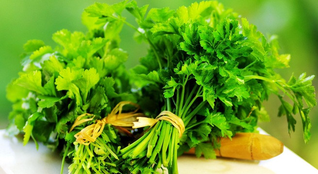 Rau mùi. Mùi là một loại thảo dược có tác dụng giải độc và trị mụn hiệu quả nhất dành cho bạn. Chính vì có tác dụng giải độc lên nó rất tốt cho gan, giúp gan có thể giải độc, ngăn ngừa bệnh tật ốm đau và có thể giúp bạn tăng cân. Ngoài ra rau mùi còn có tác dụng giúp cân bằng a-xit trong cơ thể.