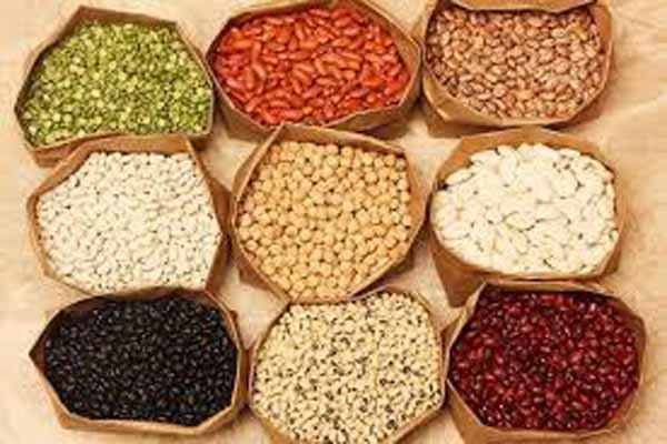 Các loại đậu. Các loại đậu là nguồn cung cấp protein, cũng như chất xơ và canxi - hai chất mà trẻ em dường như không bao giờ đủ. Các loại đậu càng sẫm màu càng bổ dưỡng. Đặc biệt các loại hạt này có chứa một lượng chất sắt không nhỏ, giúp cải thiện chứng thiếu máu do thiếu sắt ở trẻ em. Nửa chén đậu lăng nấu chín chứa khoảng 9g protein và 3mg sắt.