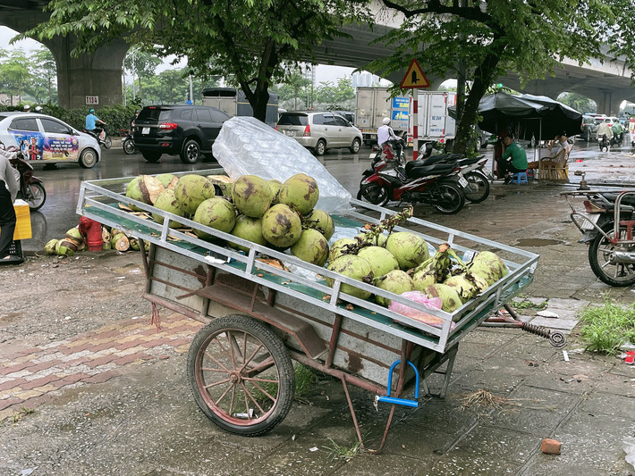 Theo ghi nhận, tình trạng vỉa hè tại khu vực này có dấu hiệu xuống cấp nghiêm trọng, gạch lát bị bung, nhiều ổ gà lồi lõm, khiến cho việc di chuyển của người đi bộ gặp khó khăn nhất là trong thời tiết mưa bão như thời gian gần đây. Việc bày bán hàng rong, ngang nhiên xả rác, đậu xe lại càng làm mất đi mỹ quan đô thị.