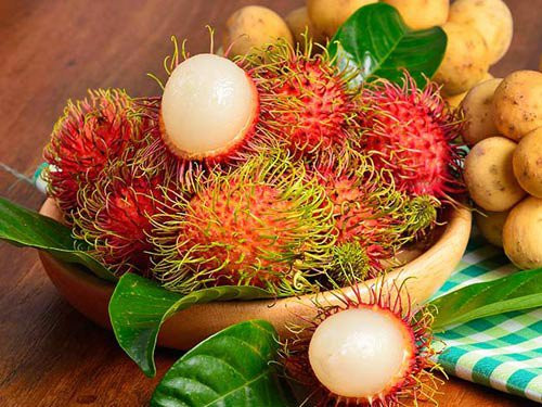 Chôm chôm là loại trái cây giàu dinh dưỡng, chứa hàng loạt vitamin và khoáng chất thiết yếu như photpho, canxi, sắt, đồng, kali, magiê, mangan, vitamin B3, A, C, vitamin B9. Ảnh cloudfront.