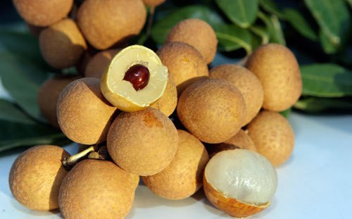 Nhãn ngon nhất là nhãn lồng Hưng Yên. Loại nhãn này quả to, vỏ gai, trông dầy. Vỏ nhãn có màu vàng sậm. Cùi nhãn dày, khô, hạt nhỏ và mọng nước. Khi nếm có vị thơm ngọt, dai sần sật. Dưới đáy quả có 2 dẻ cùi lồng xếp rất khít, khác hẳn nhãn khác. Ảnh: vietq
