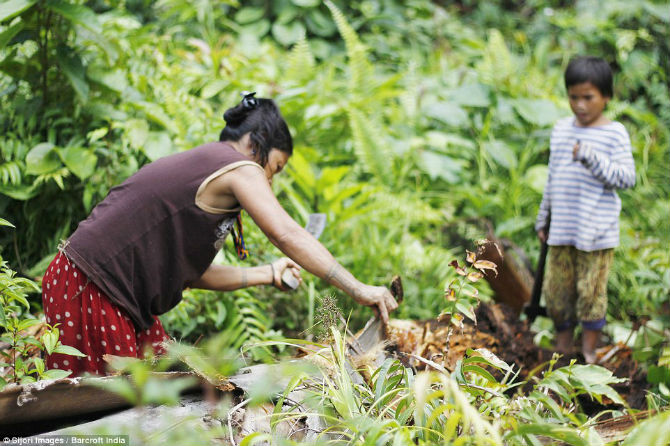 Một cậu bé cùng mẹ đang tìm sâu bướm để chế biến làm món ăn.