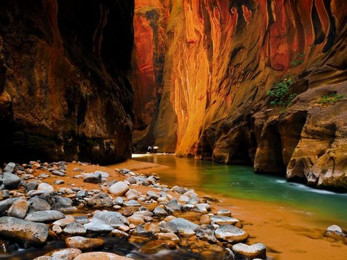 Vách đá Sandstone ở Mỹ: Vách đá Sandstone thuộc vườn quốc gia Zion, bang Utah, Mỹ, cũng là một địa điểm du lịch ấn tượng.