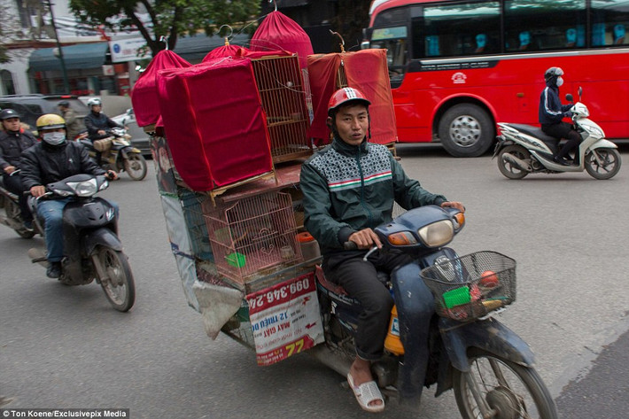 Ngay cả các du khách thường xuyên tới Việt Nam chắc hẳn cũng thắc mắc liệu có đồ vật gì người dân Việt Nam không thể chở bằng xe máy.